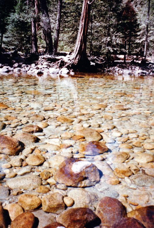Yosemite Merced River