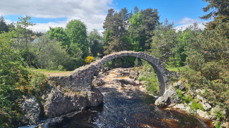 May 24 Carrbridge