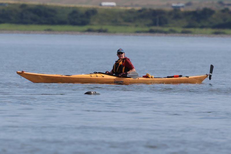 Aug 24 Brian watched by seal 