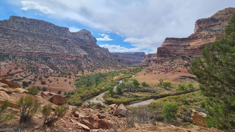 Looking west along the 'Little Grand Canyon' section of the San Rafael river