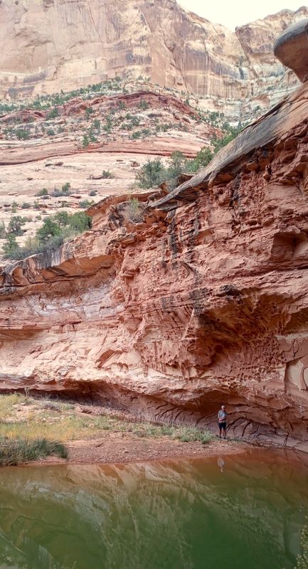 Virgin Springs Canyon
