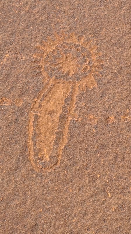 Some cool petroglyphs near Virgin Springs Canyon
