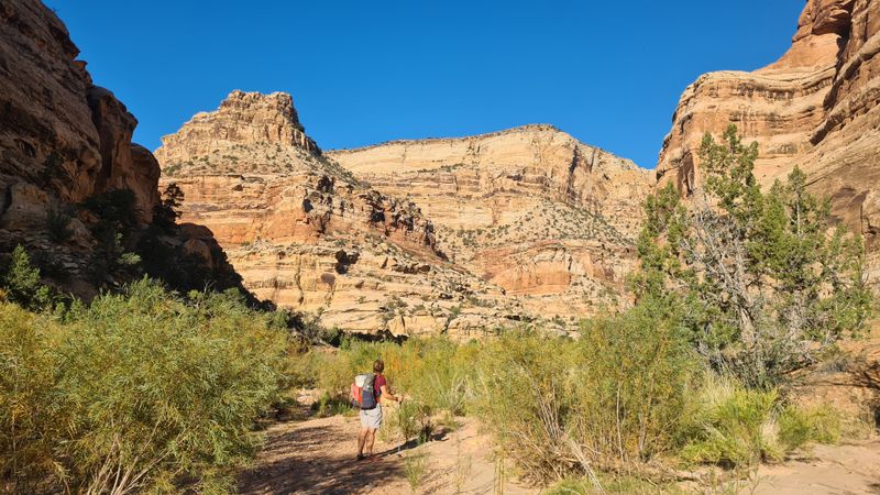 Virgin Springs Canyon