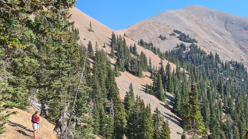Into the trees, La Sals