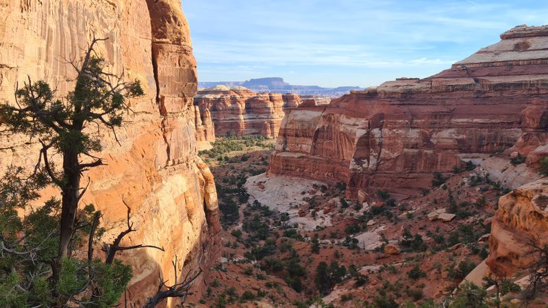 At the top of Shot Canyon
