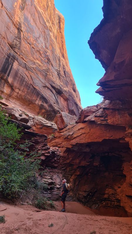 Three Canyon
