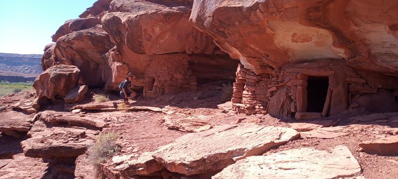 Day 6 Turks head granaries