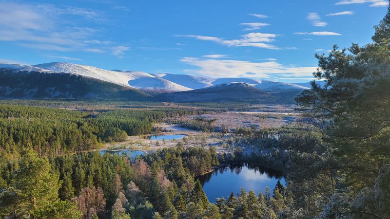 Dec 24 Speyside Way Kincraig to Kingussie looking to Glen Feshie hills