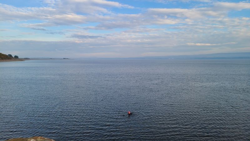 Mar 25 Black Isle - Martina swims!