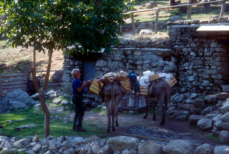 Corsica GR20 Day 8 Donkeys and owner at bergerie