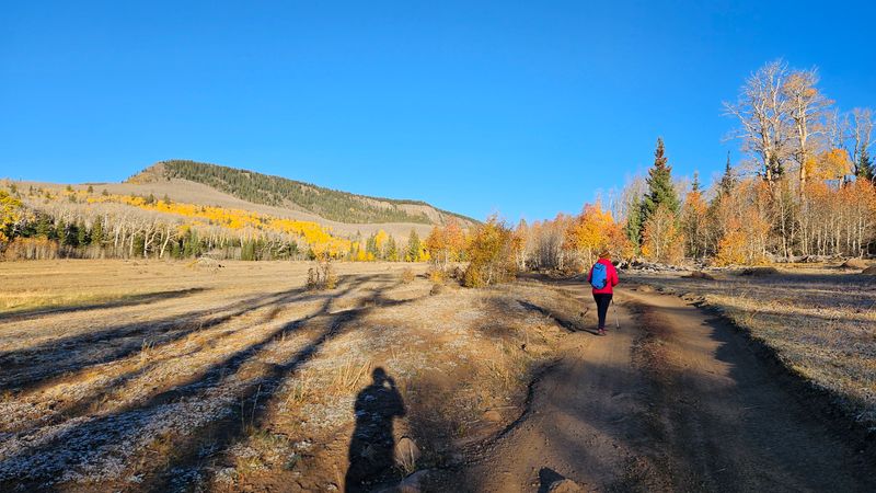 Boulder Mountain, frosty meadows at 10,000 feet