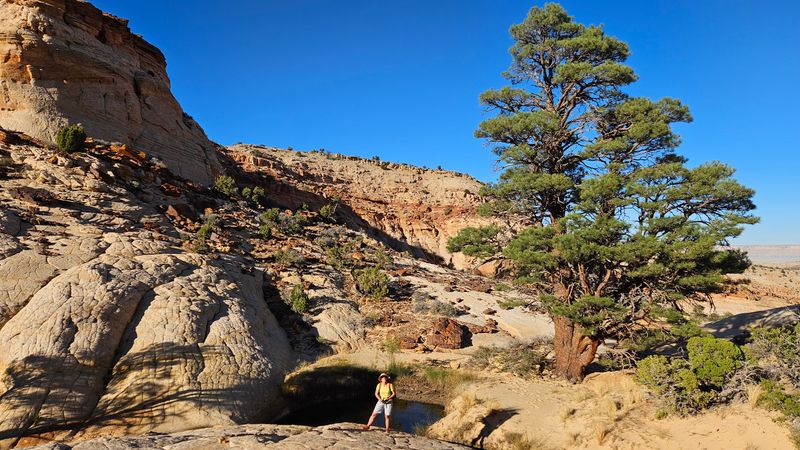 Above Pleasant Creek, passing a few potholes of water heading up to the high ridges