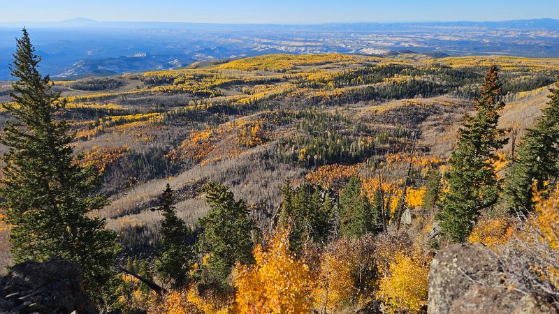 From about 11,000 feet on Bowens Point on Boulder Mountain looking south across aspen to Escalante area
