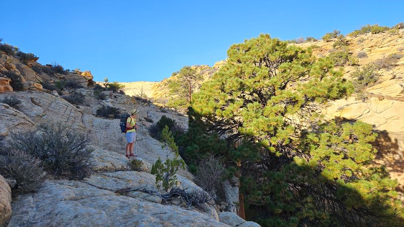 Martina descending crossing from slabs to ridge