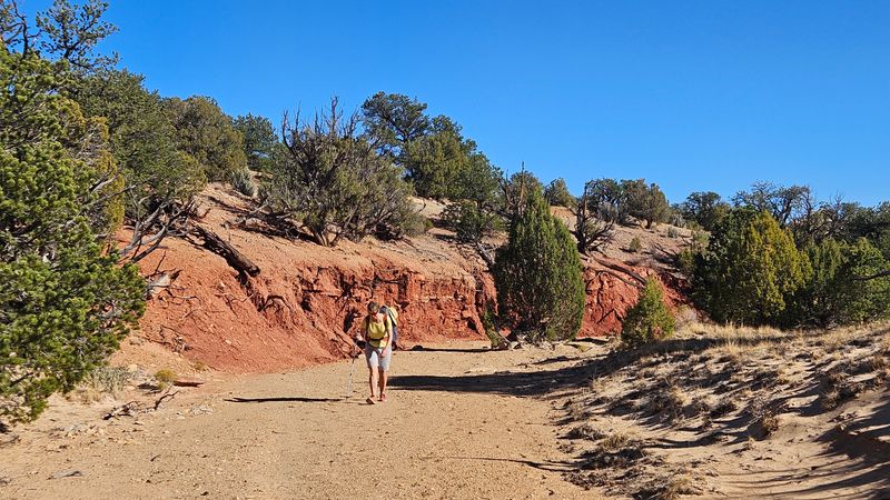 Walking a wash north from Golden Throne area towards Ferns Nipple