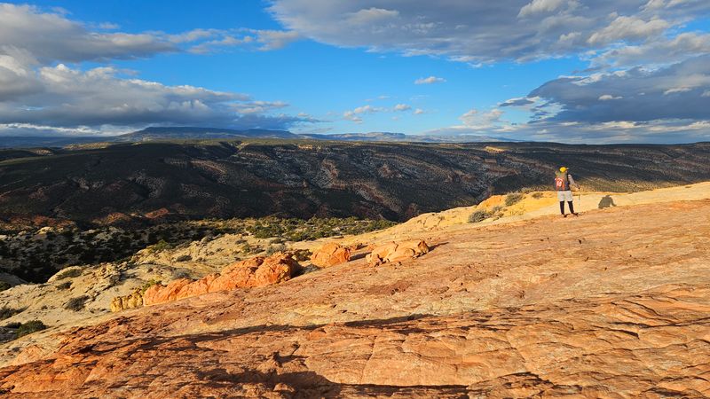 Ferns Nipple south side, Boulder Mountain beyond