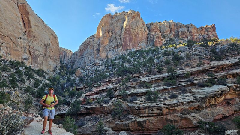 Ferns Nipple descent Martina