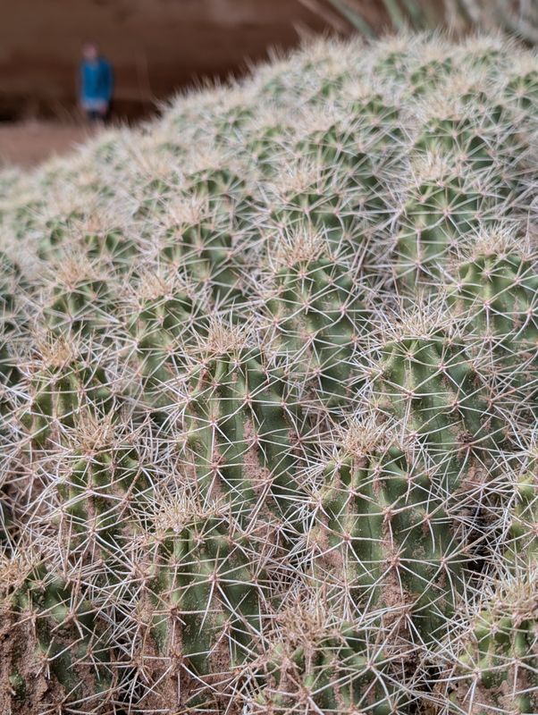 Capitol Reef high route backpack