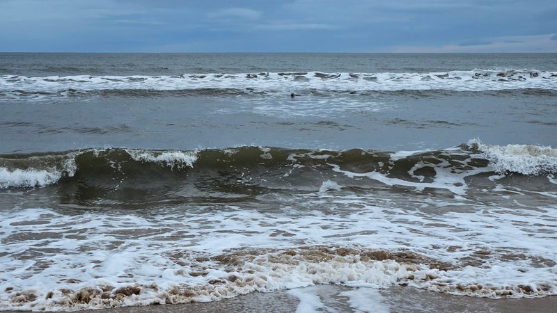 Nov 25 JoGT Brora to Helmsdale - watched by a seal