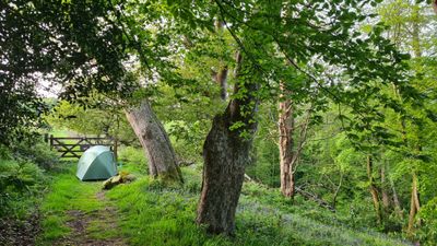 May 23 Camp above Picklecombe Point across the bay from Plymouth