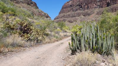 Mar 23 Gran Canaria Variant barranco, arid hiking on the first day