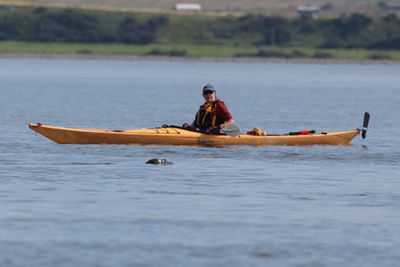 Aug 24 Brian watched by seal 