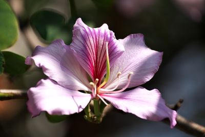 g13/95/523495/3/175275979.ab206c9b.JPEG