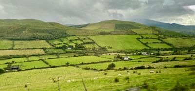 g13/95/592195/3/174164347.ba7f0d25.JPEG