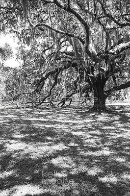 g13/95/625695/3/174225820.24555935.JPEG