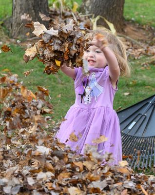 Leaf face (1 of 1).jpg