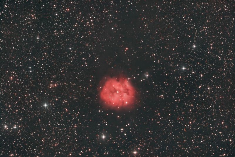 The Cocoon Nebula in Cygnus