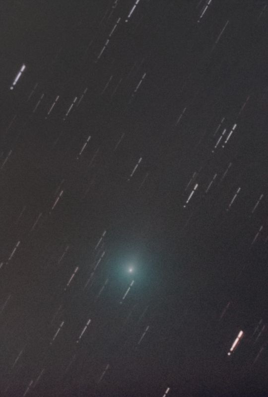 Comet 62P Tsuchinshan