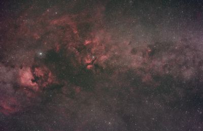 Central Cygnus