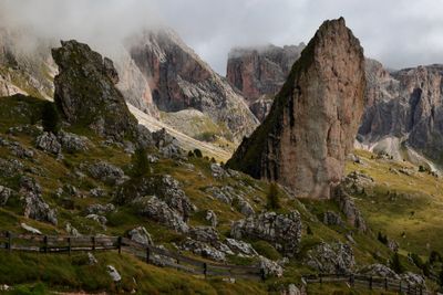 Rocky terrain, Pieralongia