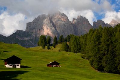 The Seceda ridgeline, seen from Daunei
