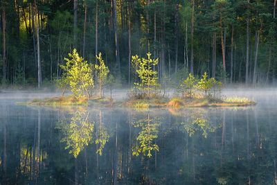 Mazury