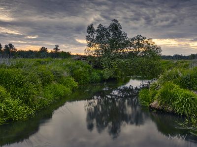 Jeziorka