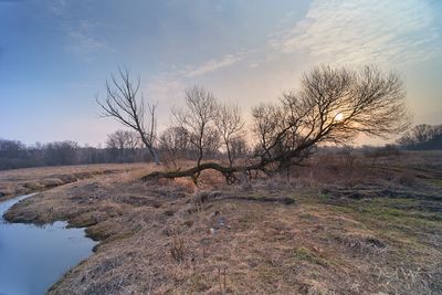 Rządza