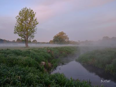 g13/95/777695/3/175501722.d61d775c.JPEG