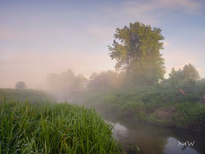 Rządza