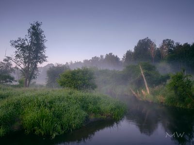 g13/95/777695/3/175571579.9780d1a9.JPEG