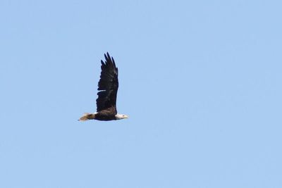 IMG_5431.JPG