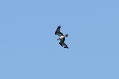 IMG_5439.JPG