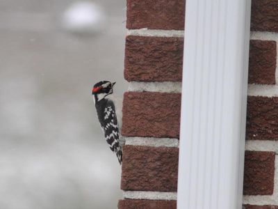 IMG_5792.JPG