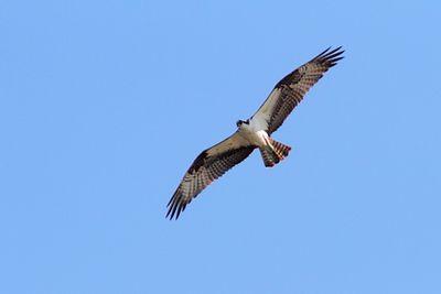  IMG_6979.JPG
