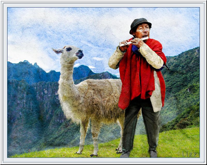 Peruvian Piper