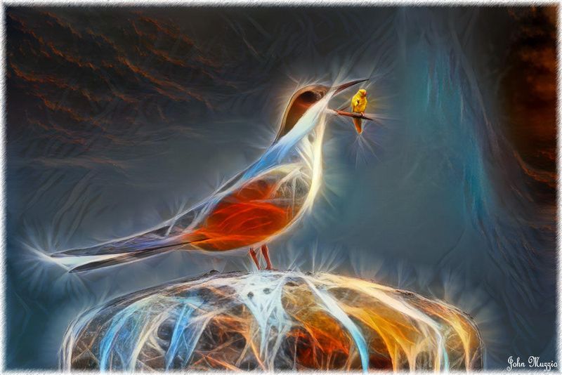 Big and Little Bird