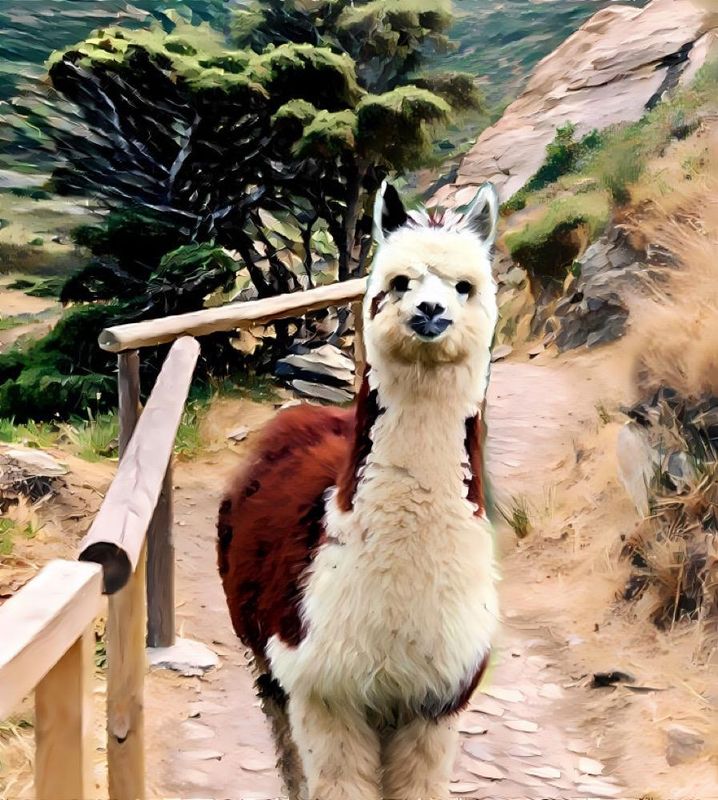 Llama