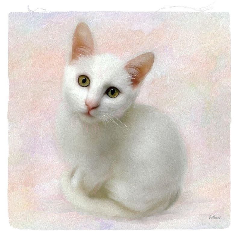 White Beauty