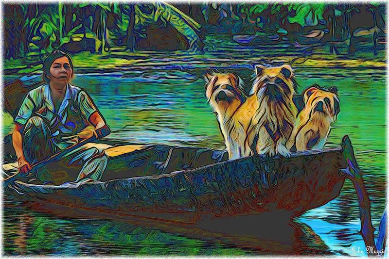 Dogs in a Boat